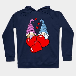 Gnomes Hoodie